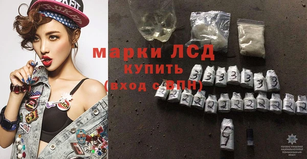 сатива Зеленокумск