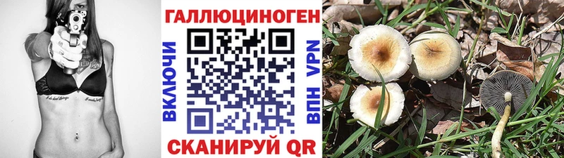 Галлюциногенные грибы мицелий мориарти телеграм Камышлов